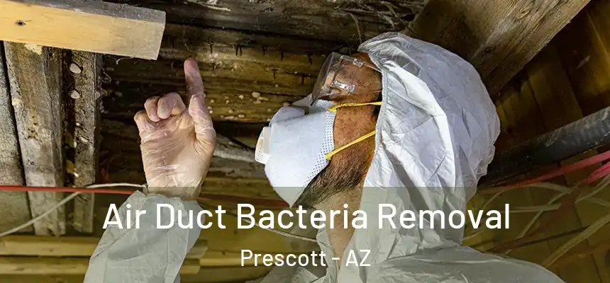  Air Duct Bacteria Removal Prescott - AZ
