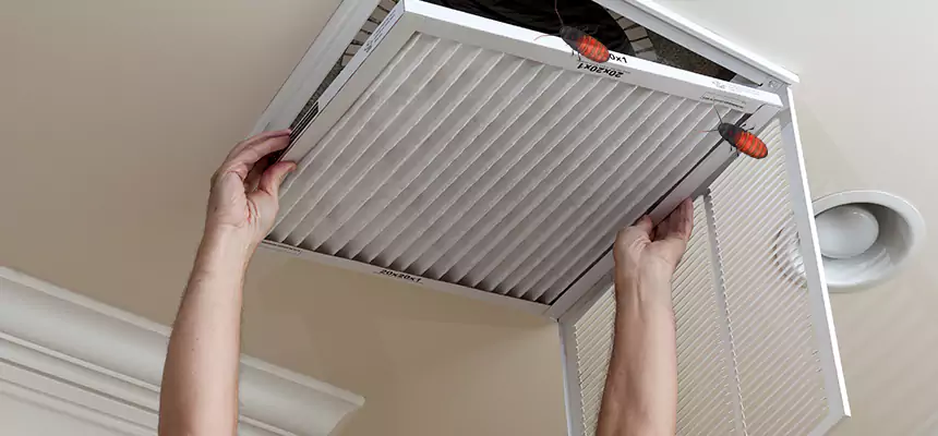 Preventive Cockroach-Proofing for Ducts in Prescott