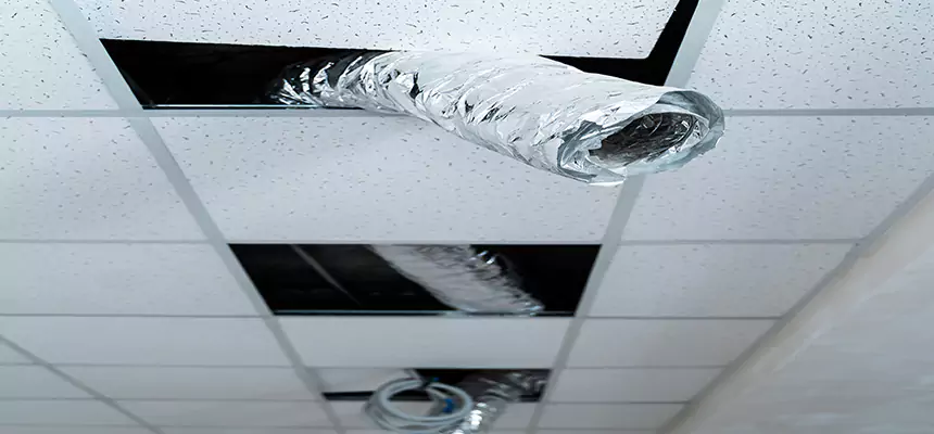 Our Air Duct Pet Hair Removal Services in Prescott, AZ