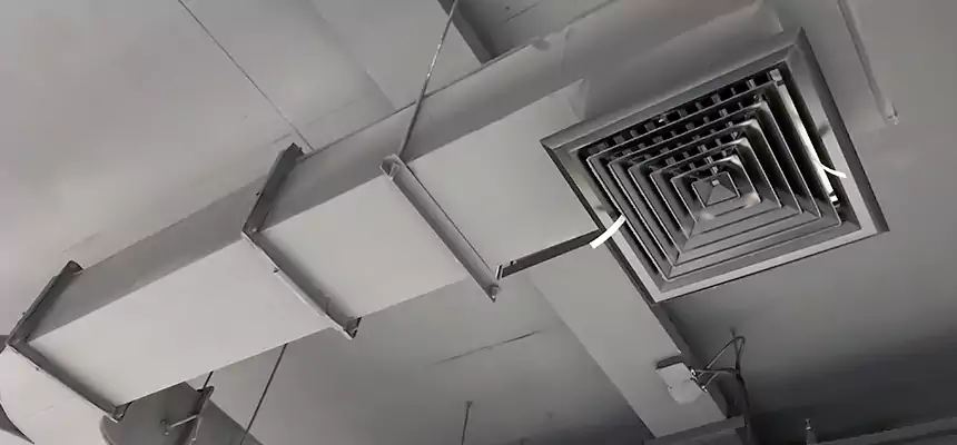 Restorative Allergy Relief Vent Cleaning – Coil, Blower & Housing Detail in Prescott