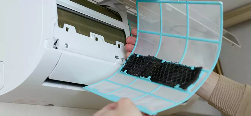 Gentle Ductwork Odor-Control Pet Dander Duct Cleaning in Prescott, AZ