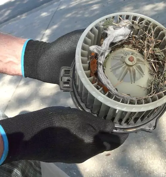 About Air Duct Rat Removal in Prescott, AZ